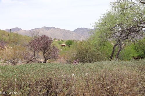 5150 Placita Del Lazo, Tucson AZ  85750-1535 exterior