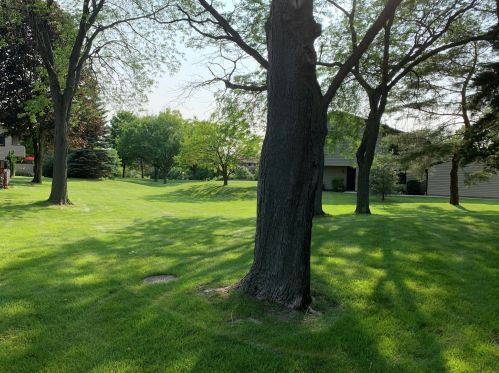 8951 70, Milwaukee WI 53223-2151 exterior