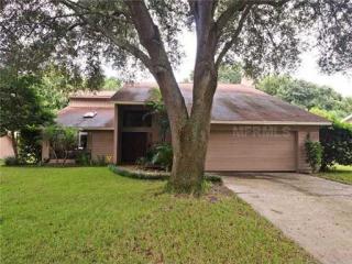 1048 Sylvia Ln, Tampa, FL 33613-2007