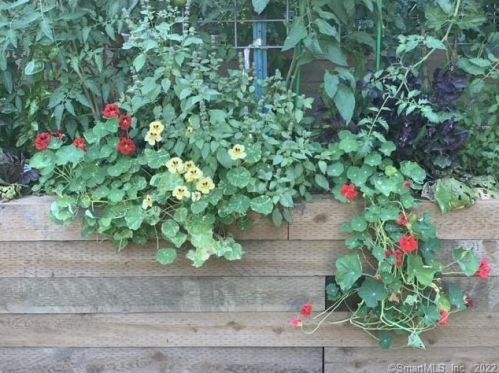 96 Rutland Rd, Milford CT 06461-1810 exterior