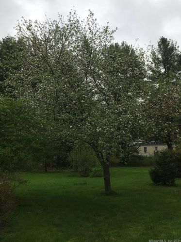 34 Country Club Rd, Killingly, CT 06241-1100