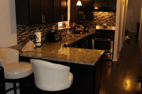 7326 Champlain Ave, Chicago IL 60619-1829 exterior