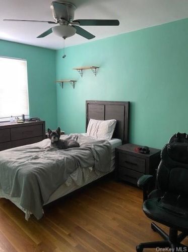 903 Brinsmade Ave, Bronx NY 10465-1903 exterior