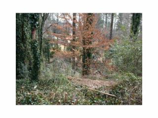 1169 Biltmore Dr, Atlanta GA  30329-3809 exterior