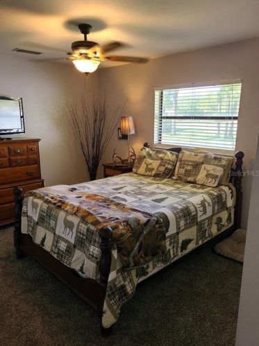 12504 Twin Br Acres Rd, Tampa FL 33626-4423 exterior