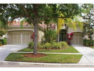 14780 San Marsala Ct, Tampa, FL 33626-3316