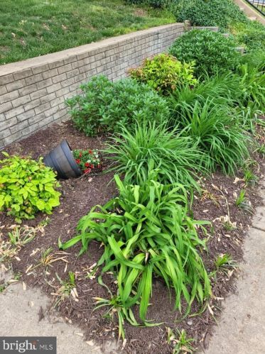 5849 Monticello Rd, Alexandria VA 22303-1301 exterior