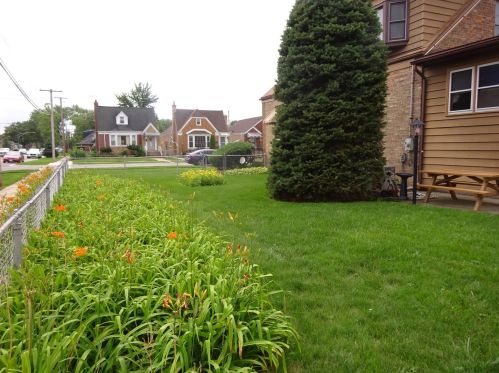 6936 Nelson St, Chicago, IL 60634-4613