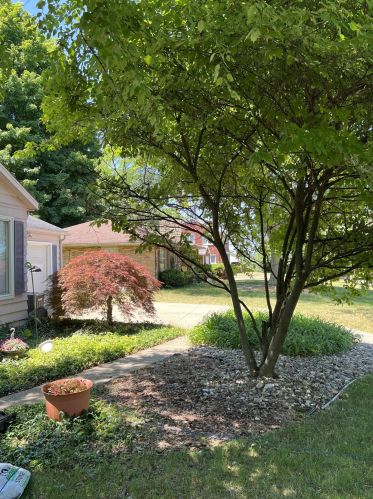 304 Espanola Ave, Kalamazoo MI  49004-1104 exterior