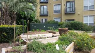 510 Gray St, Houston TX  77002-4445 exterior