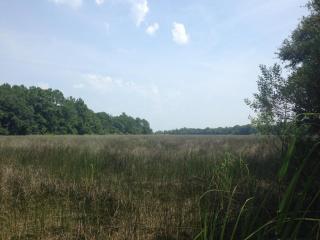 1554 Avalon Cir, Charleston, SC 29407-3616