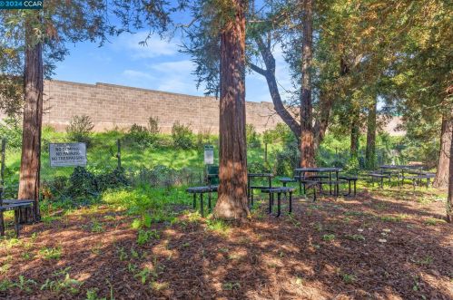 710 Teatree Ct, San Jose CA 95128-4725 exterior