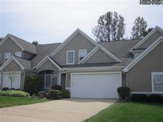 29369 Hummingbird Cir, Cleveland OH  44145-5287 exterior