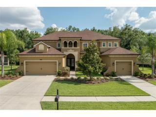 27734 Indigo Pond Ct, Zephyrhills, FL 33544-7813