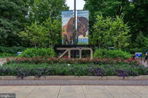 2737 Devonshire Pl, Washington DC  20008-3476 exterior