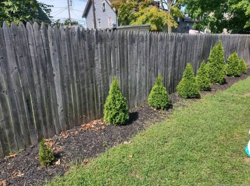 13 Franklin St, Wallingford CT 06492-4115 exterior