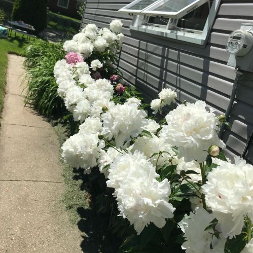 3825 84, Milwaukee WI 53228-1705 exterior