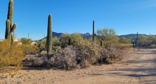 10003 Horse Mesa Trl, Tucson AZ  85743-7583 exterior