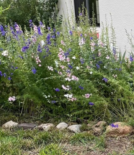 2026 Baseline Rd, Boulder CO exterior