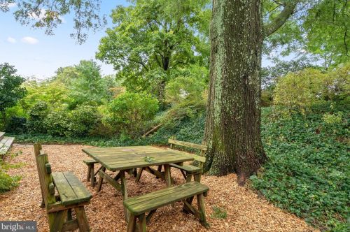 510 Deerfield Ave, Silver Spring MD 20910-5507 exterior