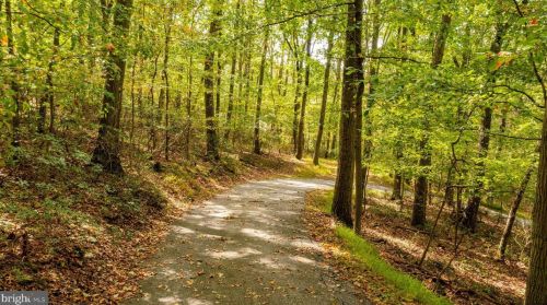 19905 Valley Mill Rd, Freeland MD 21053-9524 exterior