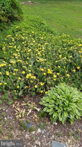 26 Acres Dr, Trenton NJ 08690-3915 exterior