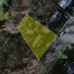 271 Wiswall Rd, Newton MA 02459-3531 aerial view