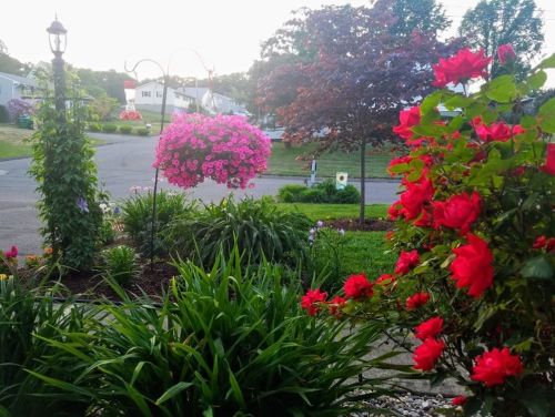 203 Murphy Ln, Chicopee MA 01020-4837 exterior