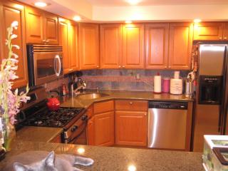 207 Master St, Philadelphia PA  19122-4508 exterior