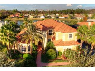 17229 Emerald Chase Dr, Tampa FL  33647-2784 exterior