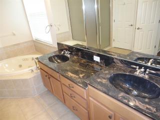 17812 Arbor Creek Dr, Tampa FL  33647-2938 exterior