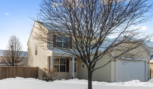 1315 Roth Dr, Joliet IL 60431-7536 exterior