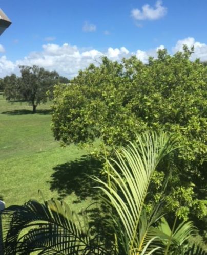 5501 2nd Ave, Boca Raton FL 33487-3831 exterior