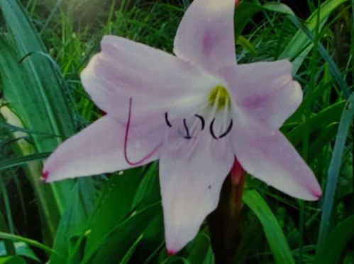 1401 Council Blf Dr, Atlanta GA 30345-4133 exterior