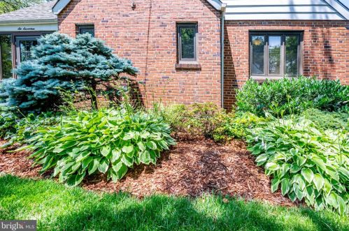 617 Mcneill Rd, Silver Spring, MD 20910-5542