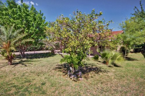 3024 Culver St, Phoenix AZ  85008-4734 exterior