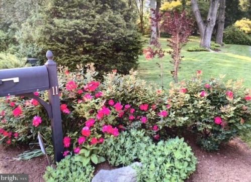 11 Todmorden Dr, Media PA 19086-6727 exterior