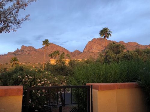 791 Camino Corrida, Tucson, AZ 85704-7649