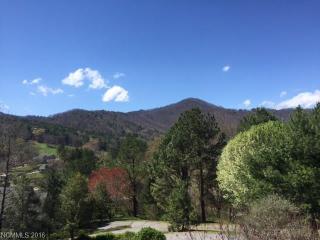 204 Blue Ridge Vis, Asheville NC  28805-9742 exterior