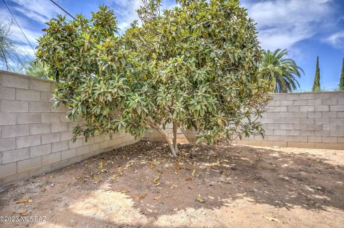 3702 March Pl, Tucson AZ 85713-4227 exterior