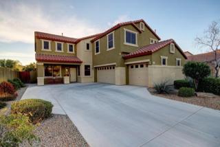 23225 40 Way, Phoenix AZ  85050-7235 exterior