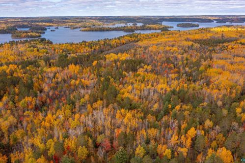 3120 Van Vac Rd, Ely MN 55731-8438 exterior