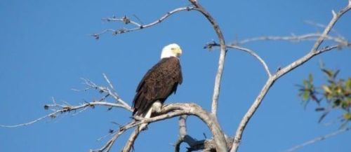 341 Springview Loop, Fort Pierce FL  34986-2664 exterior