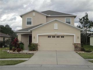 4224 Warwick Hl Dr, Zephyrhills FL  33543-7042 exterior