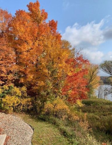 17932 Riverbluff Dr, Big Rapids MI  49307-9084 exterior