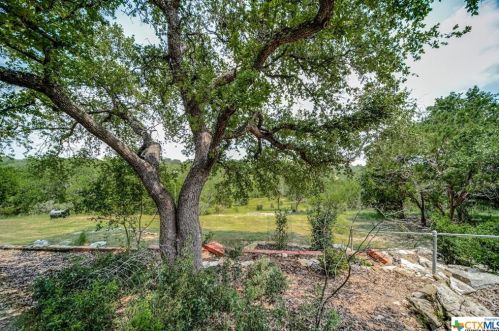 221 Charon Pt, Spring Branch TX 78070-5265 exterior