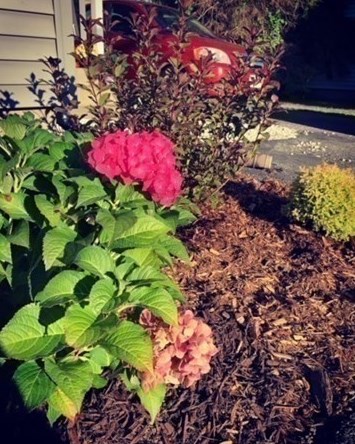 200 Island Pond Rd, Springfield MA 01118-1034 exterior