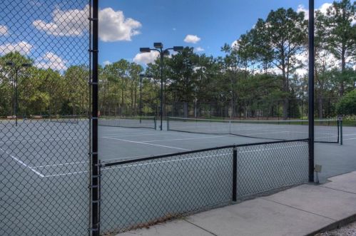 17709 Emerald Green Pl, Tampa FL 33647-2547 exterior