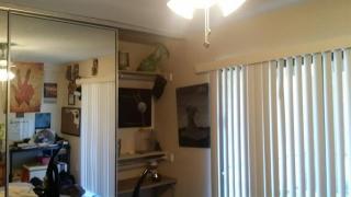 4523 O Connor Rd, Irving TX  75062-3713 exterior