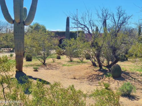 11364 Prince Rd, Tucson AZ 85705-3025 exterior
